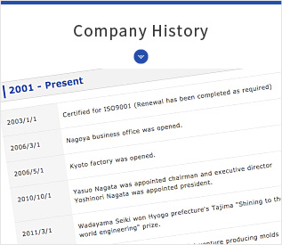 Company History