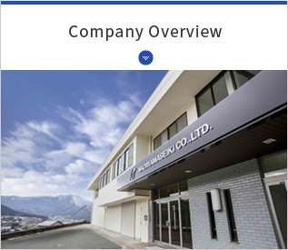 Company Overview